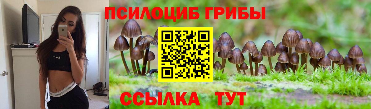 Псилоцибиновые грибы MAGIC MUSHROOMS Снежинск