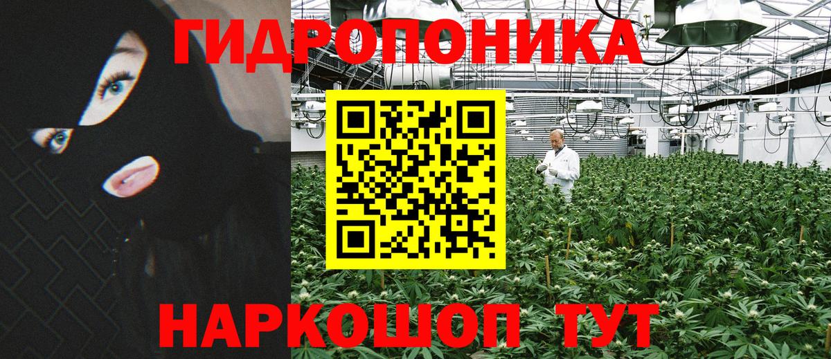 Снежинск  Марихуана White Widow  Вход с VPN  Конопля конопля 